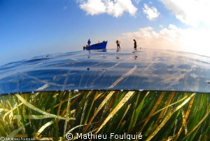 posidonia seagrass meadows_Libya by Mathieu Foulquié 